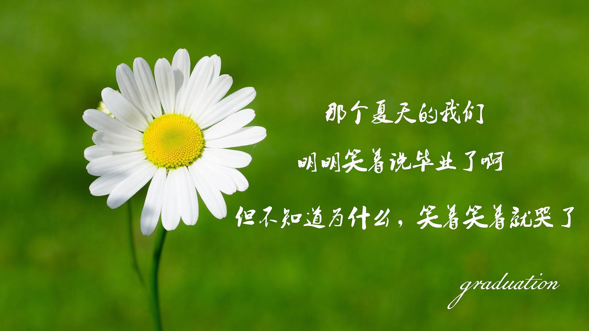 【战术风云】马克·塞尔比用防守反击扭转战局的实战技巧，马克塞尔比的球杆