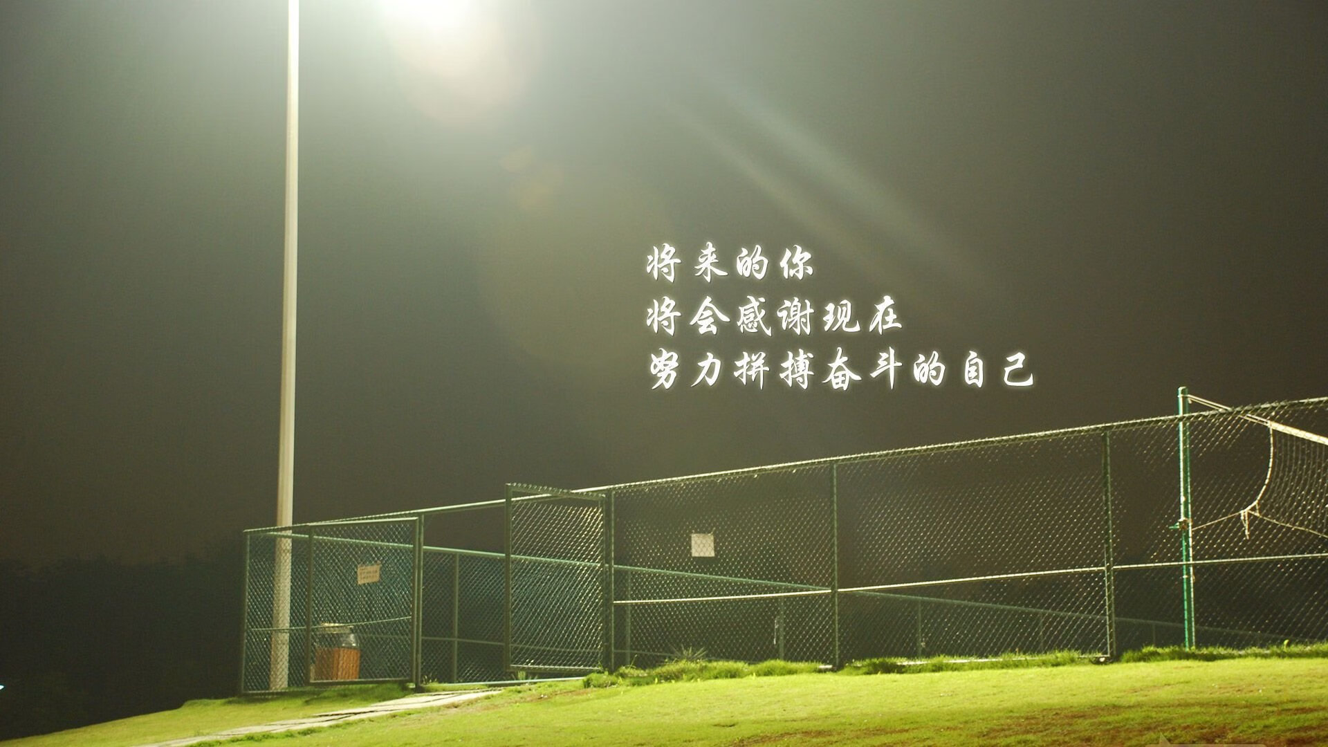 国家马术队创新训练模式，力争国际大赛金牌，马术国家队教练