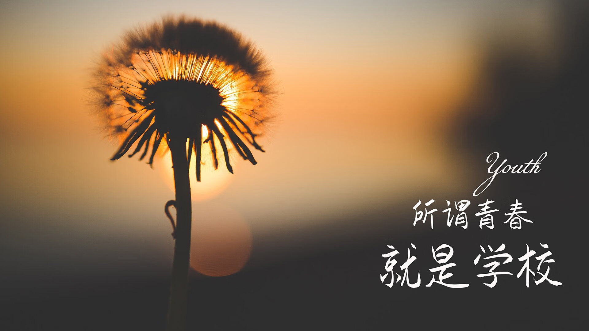丹麦国家队实力惊人，欧国联对手不敌其强势，丹麦国家队强吗