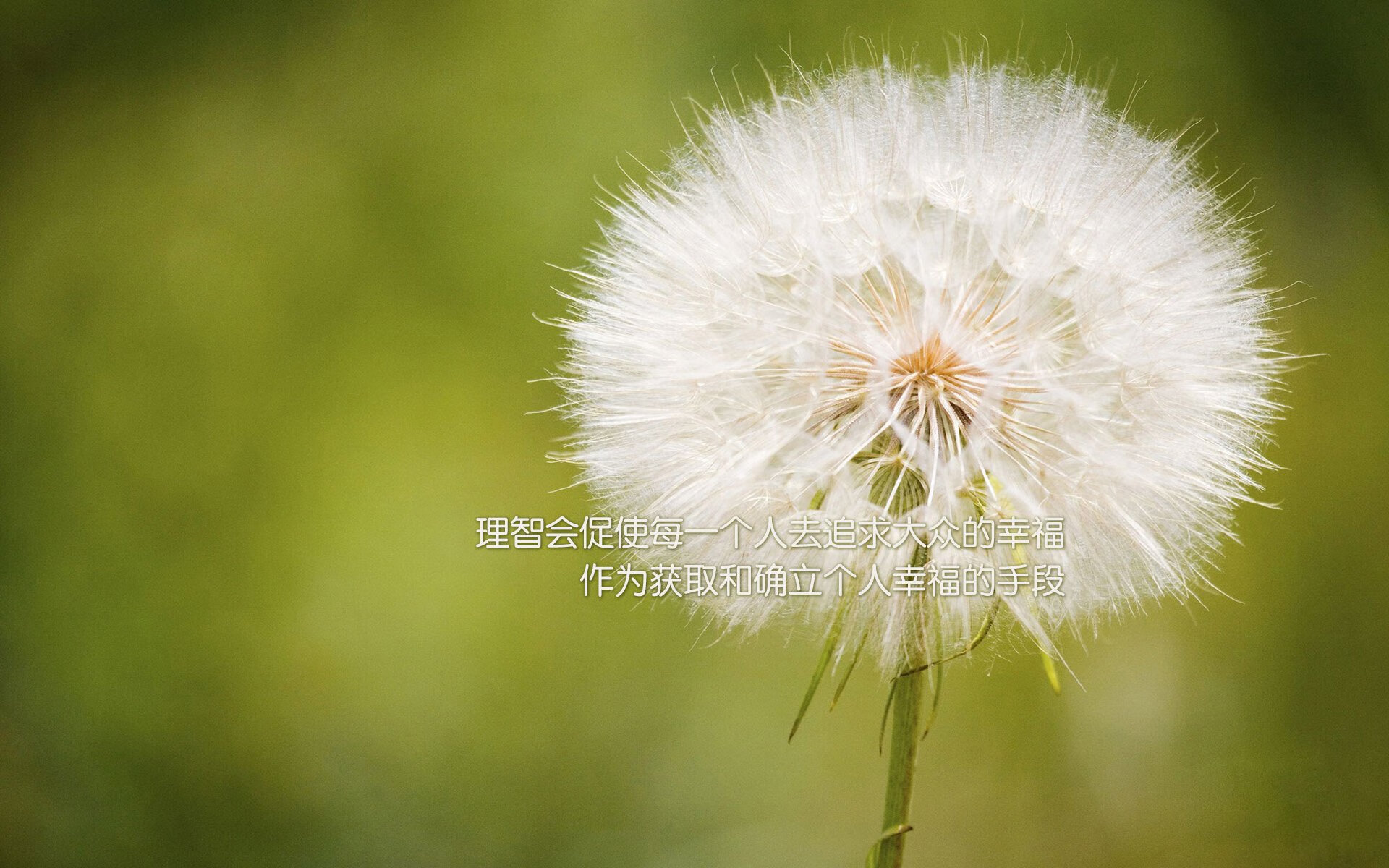 澳大利亚联赛关键球员表现稳定，澳大利亚球员名单