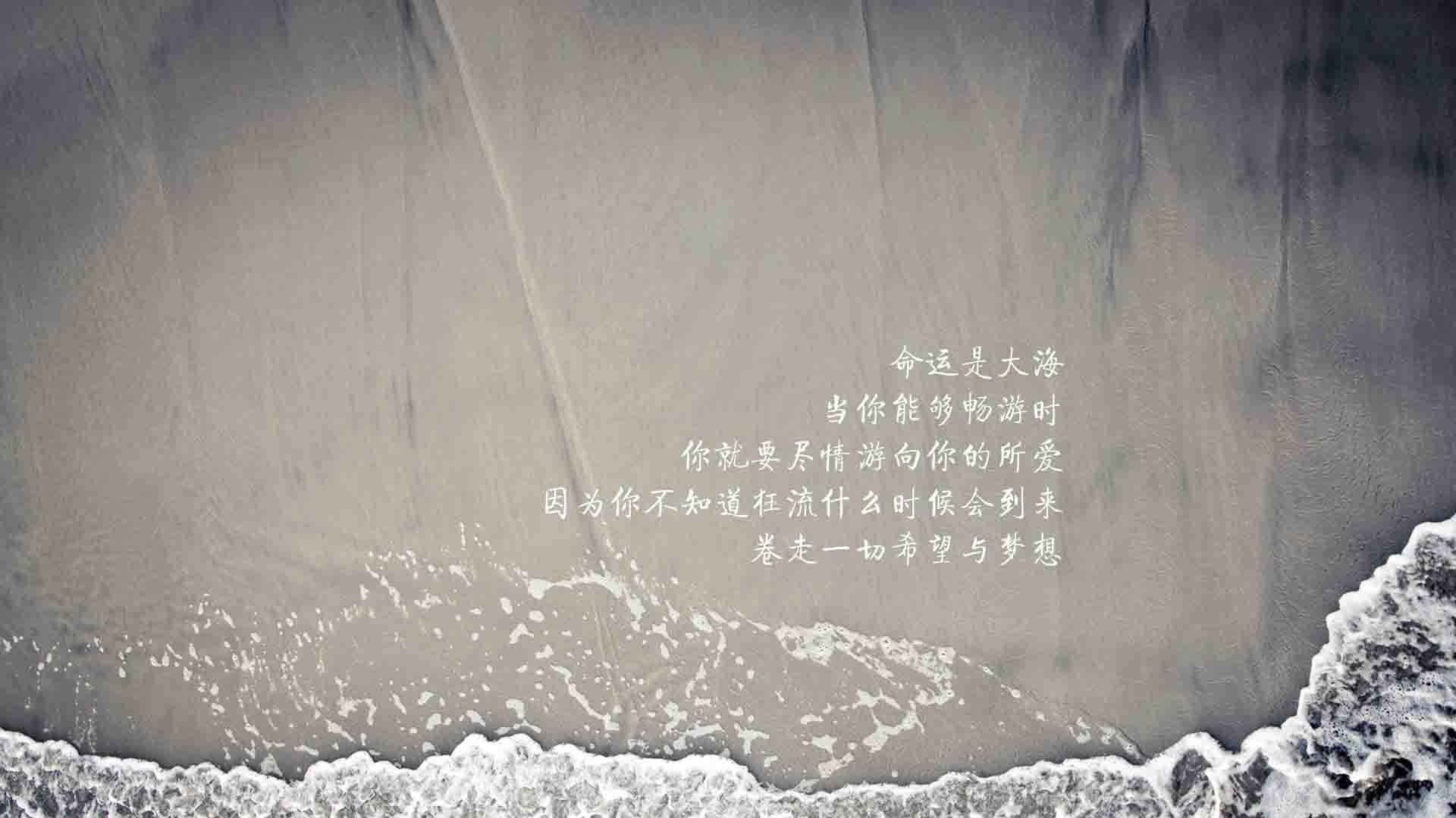 萨索洛新帅接手，球队展望面临挑战，萨索洛首发
