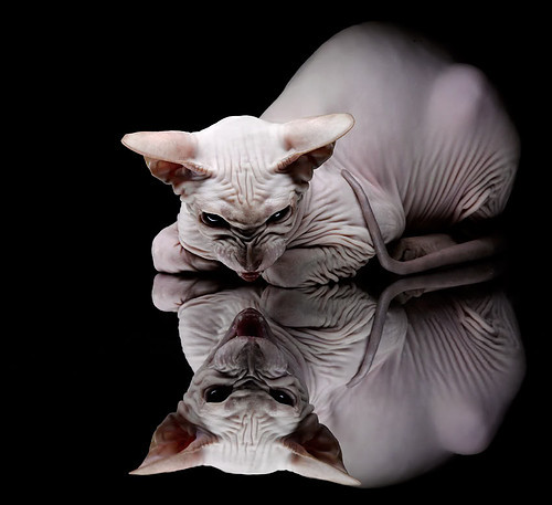 中国女篮打造多点进攻打破对手包夹，中国女篮打球