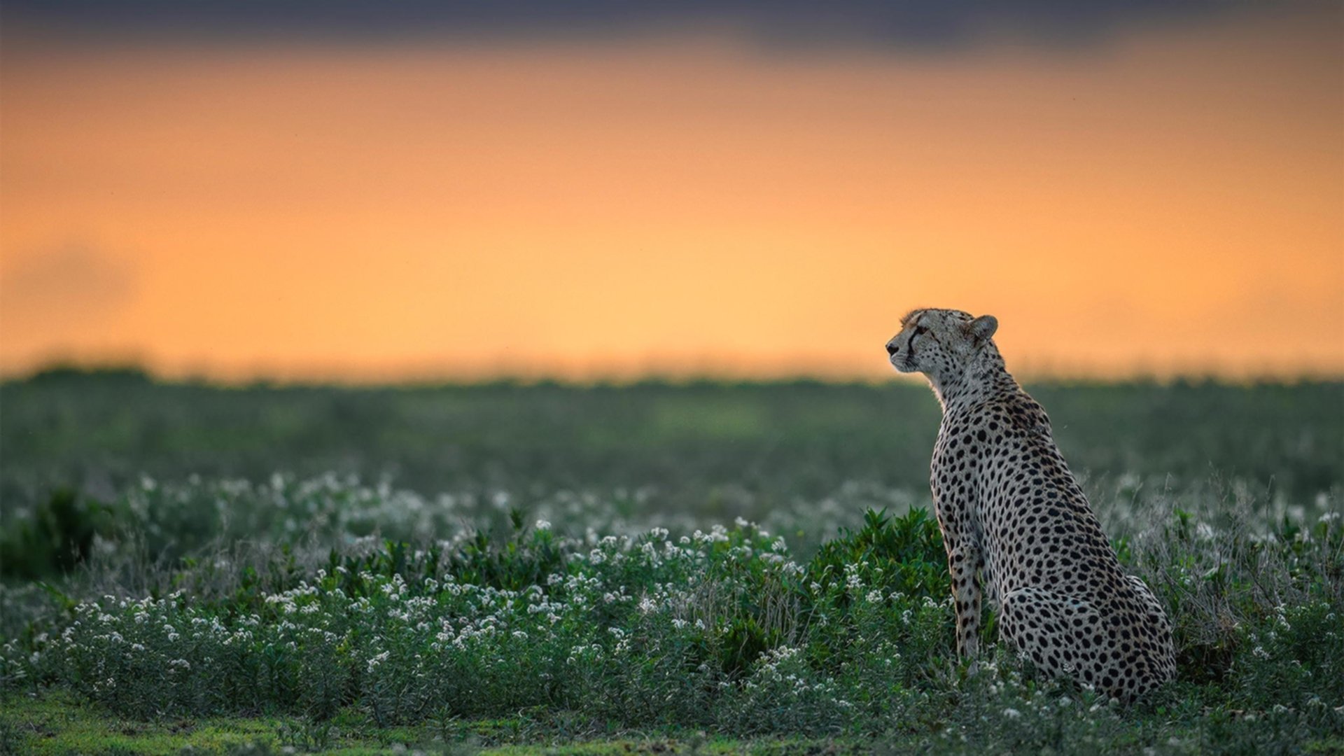 场均正负值反映球员真实影响力吗，场均rws
