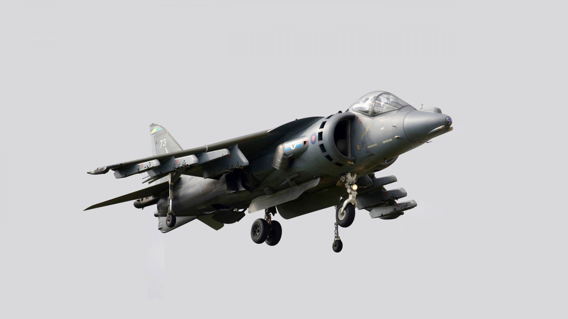 国际篮联高度评价中国男篮集训计划,中国男篮国家集训队