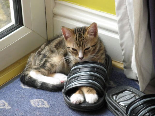 九游娱乐(jiuyou)官方网站-新疆男篮加大球员康复投入保障健康出战，新疆男篮官宣