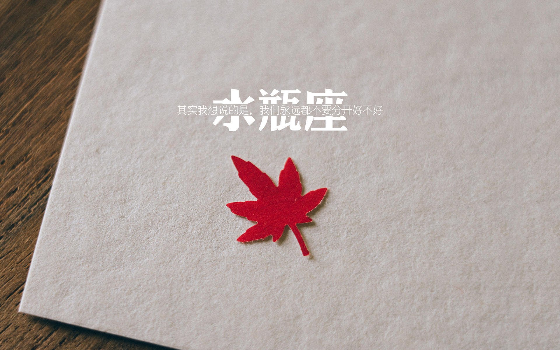 欧洲杯疯狂追平:瞬间扭转战局的奇迹,欧洲杯稳如狗