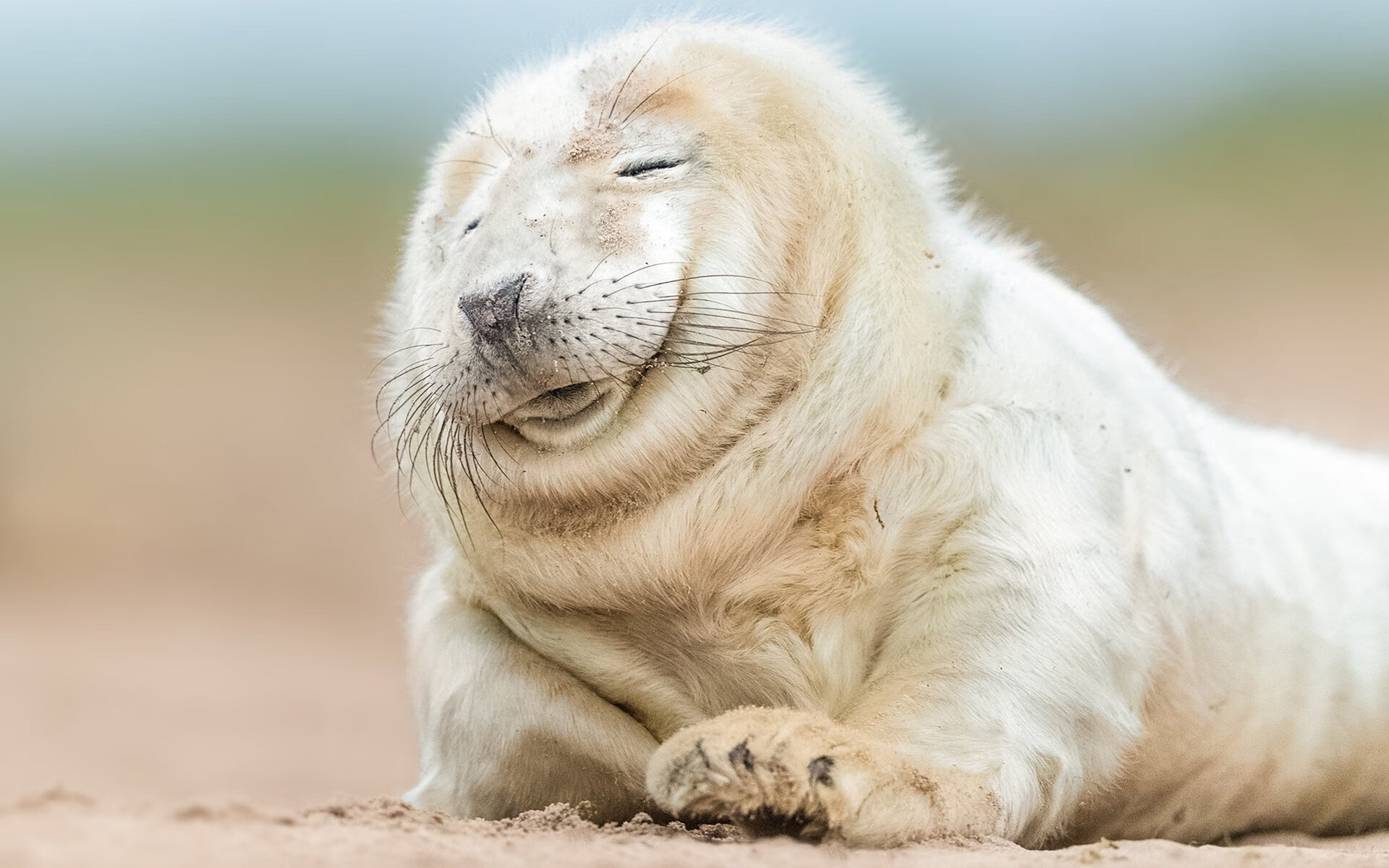 九游网页版官网-篮球进校园成果展举行展示青少年技能进步与团队精神，篮球专项展示