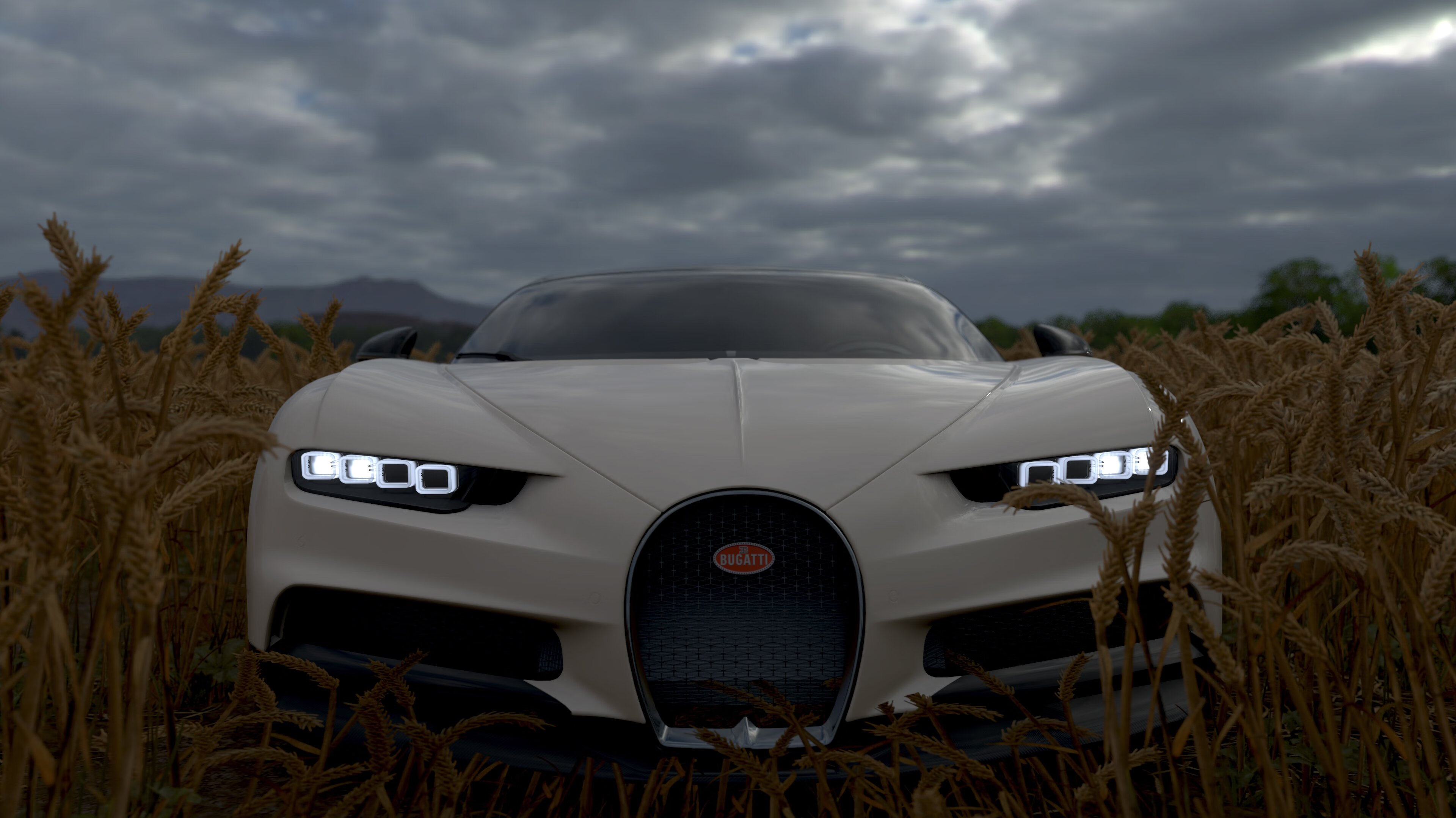 跳水决赛中立代表队A女将冷静发挥,跳水决赛运动员