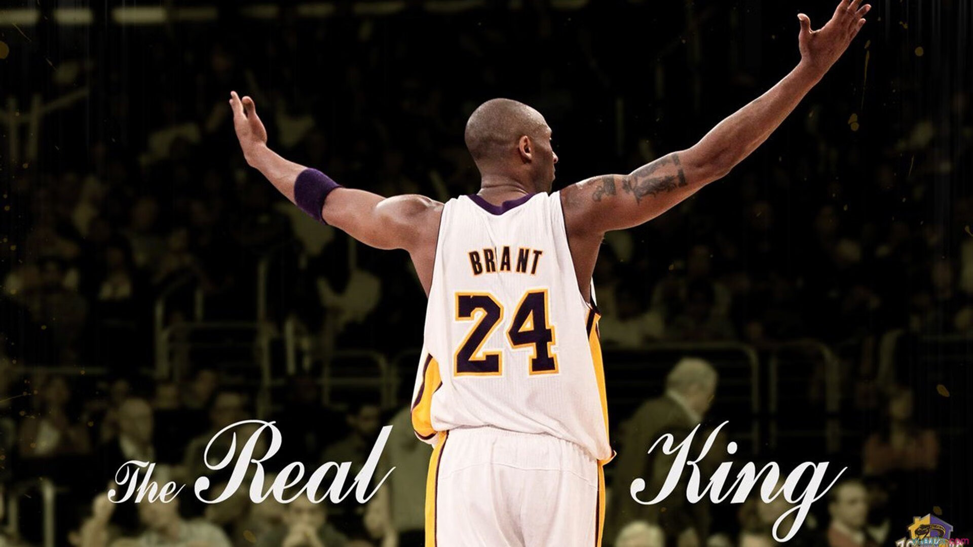 青少年裁判员“云端课程+实战演练”双提升培训体系全国铺开，裁判培训班